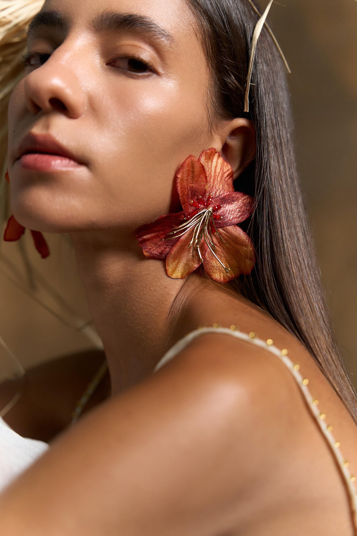 Aros Bellezana Naranjos